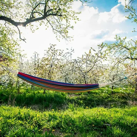 Deichkrönchen Altes Land Hamburg