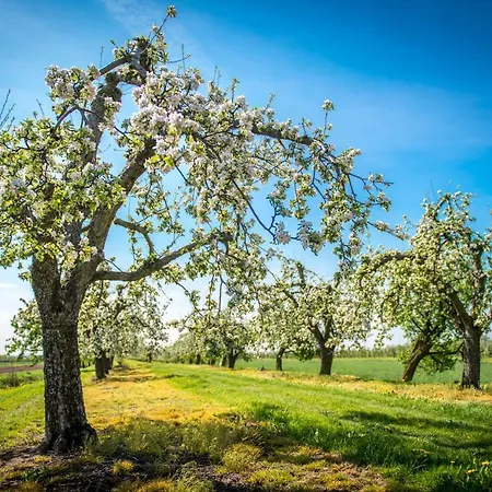 Deichkroenchen Altes Land Hamburg *
