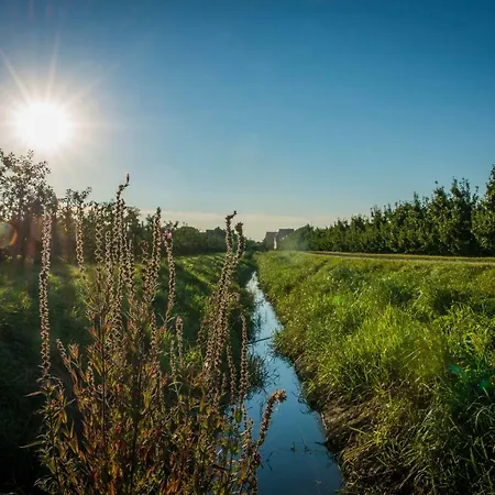 Dom wakacyjny Deichkroenchen Altes Land Hamburg
